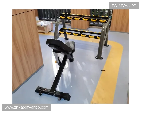 私人健身器材图片展示及功能介绍