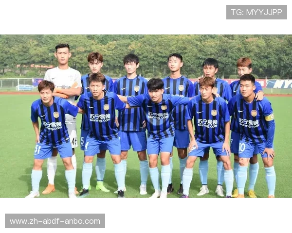 江苏苏宁主场全景介绍：中超传统劲旅的基地与球迷氛围