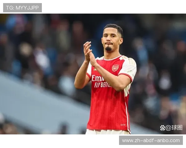 英超未降级球队年度表现谁领风骚