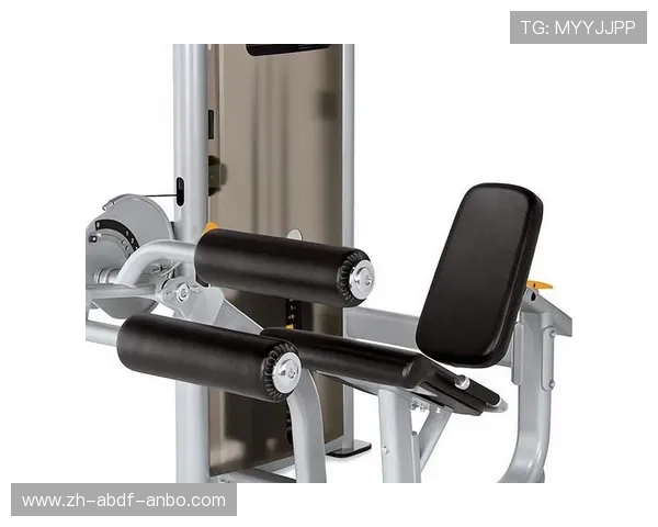 高端家用健身器材代理加盟财富新风口解析